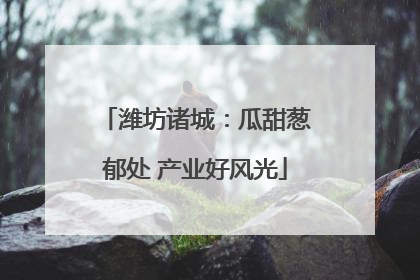 潍坊诸城：瓜甜葱郁处 产业好风光
