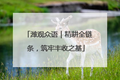 潍观众语｜精耕全链条，筑牢丰收之基
