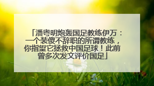 潘粤明炮轰国足教练伊万：一个装傻不辞职的所谓教练，你指望它拯救中国足球！此前曾多次发文评价国足
