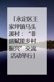 永定区王家坪镇马头溪村：“非遗赋能乡村振兴”交流活动举行