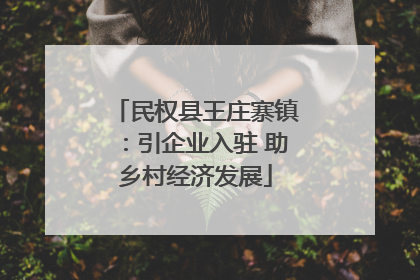 民权县王庄寨镇：引企业入驻 助乡村经济发展