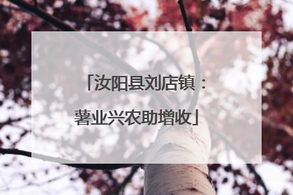 汝阳县刘店镇：薯业兴农助增收