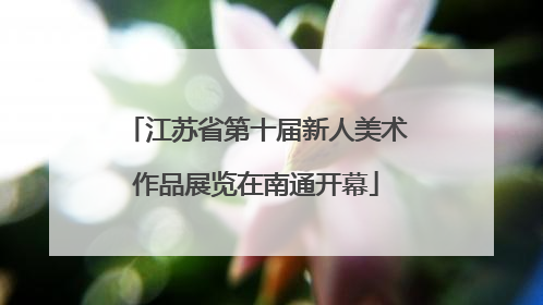 江苏省第十届新人美术作品展览在南通开幕