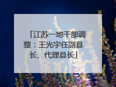 江苏一地干部调整：王光宇任副县长、代理县长