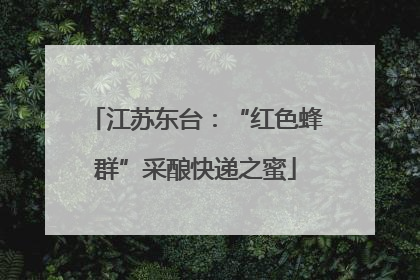 江苏东台：“红色蜂群”采酿快递之蜜