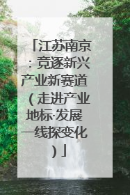 江苏南京：竞逐新兴产业新赛道（走进产业地标·发展一线探变化）