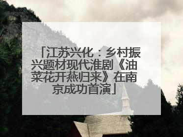 江苏兴化：乡村振兴题材现代淮剧《油菜花开燕归来》在南京成功首演