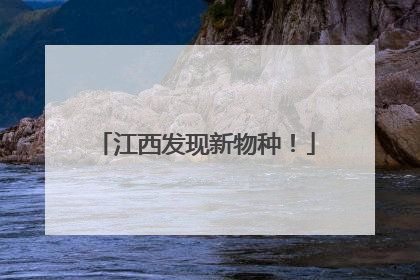 江西发现新物种！