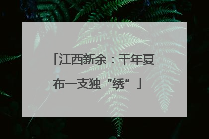 江西新余：千年夏布一支独“绣”