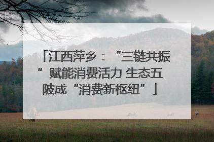 江西萍乡：“三链共振”赋能消费活力 生态五陂成“消费新枢纽”
