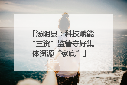汤阴县：科技赋能“三资”监管守好集体资源“家底”