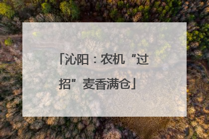 沁阳：农机“过招”麦香满仓