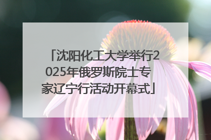 沈阳化工大学举行2025年俄罗斯院士专家辽宁行活动开幕式