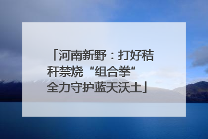 河南新野：打好秸秆禁烧“组合拳” 全力守护蓝天沃土
