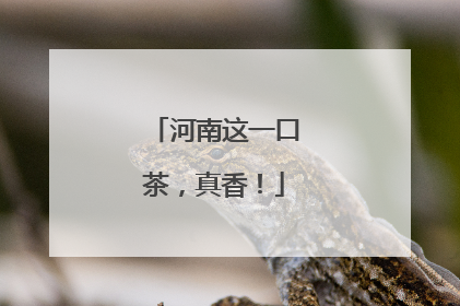 河南这一口茶，真香！