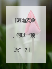 河南麦收，何以“顶流”？