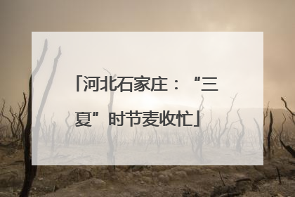 河北石家庄：“三夏”时节麦收忙