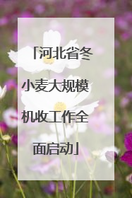 河北省冬小麦大规模机收工作全面启动