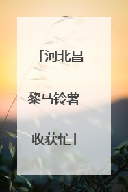 河北昌黎马铃薯收获忙