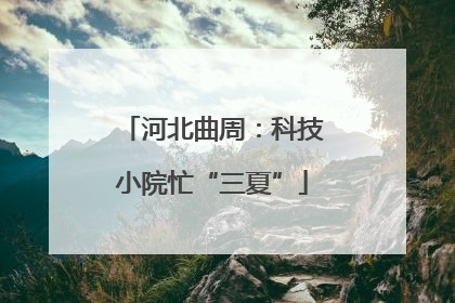河北曲周：科技小院忙“三夏”