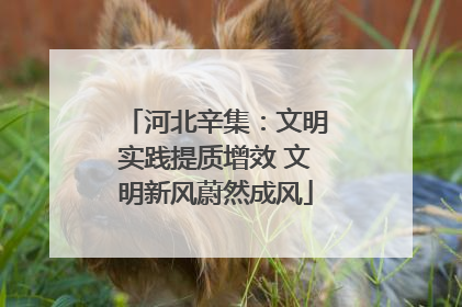 河北辛集：文明实践提质增效 文明新风蔚然成风
