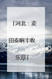 河北：麦田奏响丰收乐章