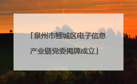 泉州市鲤城区电子信息产业链党委揭牌成立