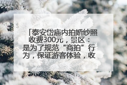 泰安岱庙内拍婚纱照收费300元，景区：是为了规范“商拍”行为，保证游客体验，收取费用全部上交国库