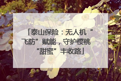 泰山保险：无人机“飞防”赋能，守护樱桃“甜蜜”丰收路