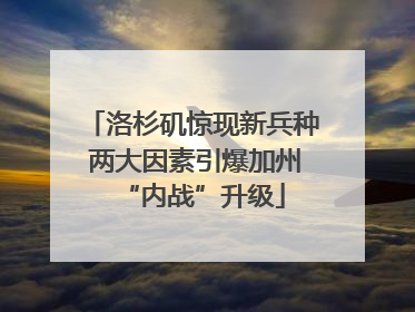 洛杉矶惊现新兵种 两大因素引爆加州“内战”升级