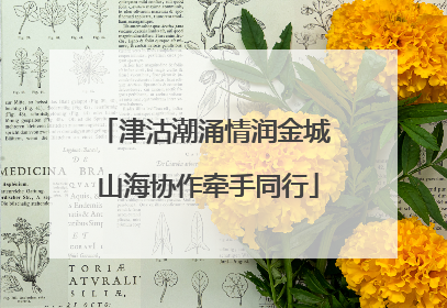 津沽潮涌情润金城 山海协作牵手同行