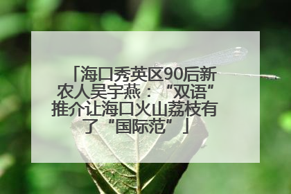 海口秀英区90后新农人吴宇燕：“双语”推介让海口火山荔枝有了“国际范”