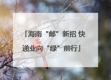 海南“邮”新招 快递业向“绿”前行