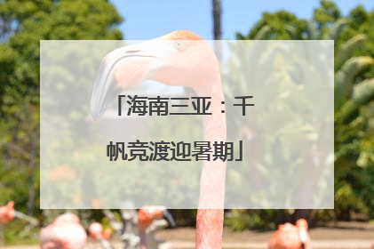 海南三亚：千帆竞渡迎暑期