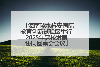 海南陵水黎安国际教育创新试验区举行2025年高校发展协同圆桌会会议