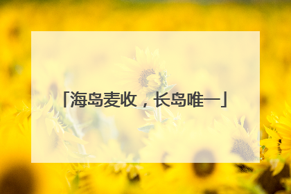 海岛麦收，长岛唯一