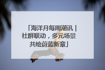 海洋月每周潮讯｜社群联动，多元场景共绘蔚蓝新章