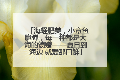 海蛏肥美，小章鱼脆弹，每一种都是大海的馈赠——夏日到海边 就爱那口鲜