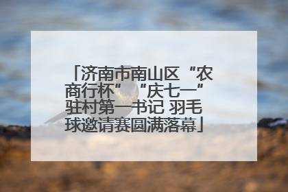 济南市南山区“农商行杯”“庆七一”驻村第一书记 羽毛球邀请赛圆满落幕