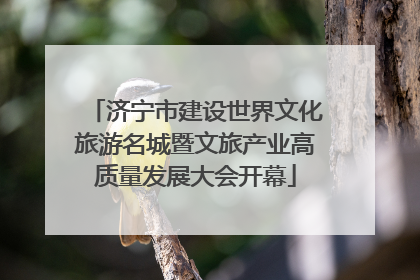 济宁市建设世界文化旅游名城暨文旅产业高质量发展大会开幕