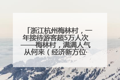 浙江杭州梅林村，一年接待游客超5万人次——梅林村，满满人气从何来（经济新方位·农村消费观察）