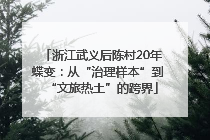 浙江武义后陈村20年蝶变：从“治理样本”到“文旅热土”的跨界