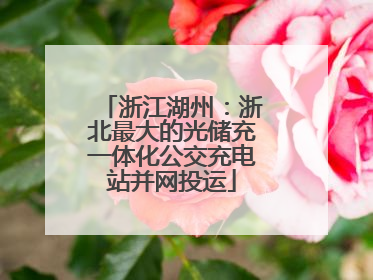 浙江湖州：浙北最大的光储充一体化公交充电站并网投运