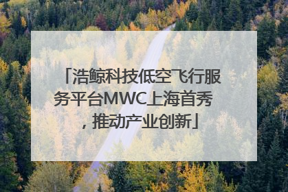 浩鲸科技低空飞行服务平台MWC上海首秀，推动产业创新