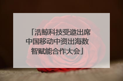 浩鲸科技受邀出席中国移动中资出海数智赋能合作大会