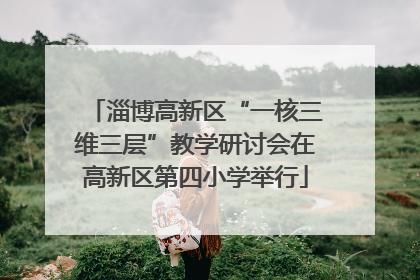 淄博高新区“一核三维三层”教学研讨会在高新区第四小学举行