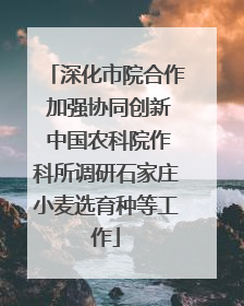 深化市院合作 加强协同创新 中国农科院作科所调研石家庄小麦选育种等工作