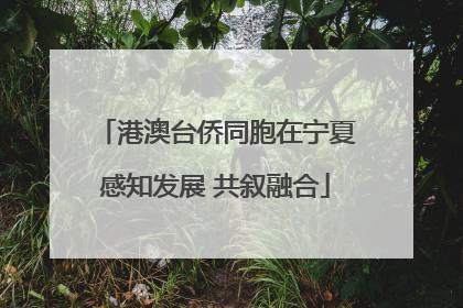 港澳台侨同胞在宁夏感知发展 共叙融合