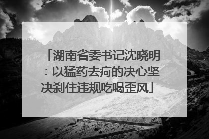 湖南省委书记沈晓明：以猛药去疴的决心坚决刹住违规吃喝歪风