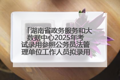 湖南省政务服务和大数据中心2025年考试录用参照公务员法管理单位工作人员拟录用人员名单公示